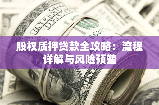 武汉股权质押贷款全攻略：流程详解与风险预警