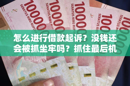 武汉怎么进行借款起诉？没钱还会被抓坐牢吗？抓住最后机会！