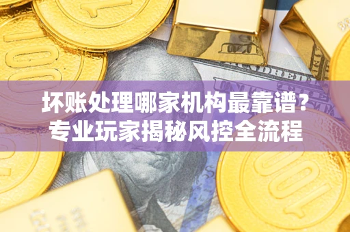 武汉坏账处理哪家机构最靠谱？专业玩家揭秘风控全流程