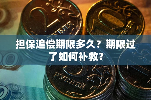 武汉担保追偿期限多久？期限过了如何补救？