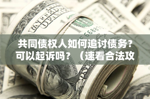 武汉共同债权人如何追讨债务？可以起诉吗？（速看合法攻略）