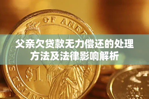 武汉父亲欠贷款无力偿还的处理方法及法律影响解析