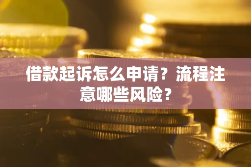 武汉借款起诉怎么申请？流程注意哪些风险？